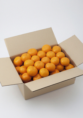 写真｜恋姫みかん