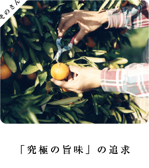 「究極の旨味」の追求